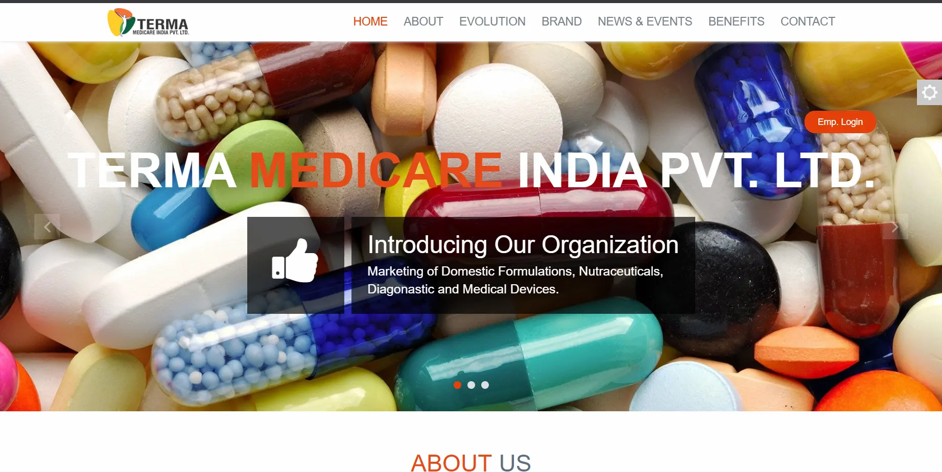 Terma Medicare website development project screenshot